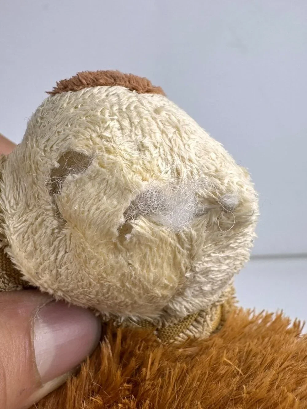 KONG Scrunch Knots Squirrel Plush Dog Toy Squeaker Ribbed Brown 10